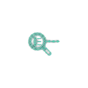 Icon KI-Audit + Roadmap