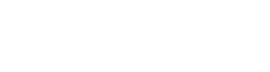 IVD Bildungsinstitut